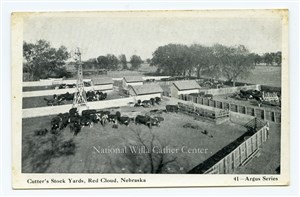 Image description is not available for PHO-264-708